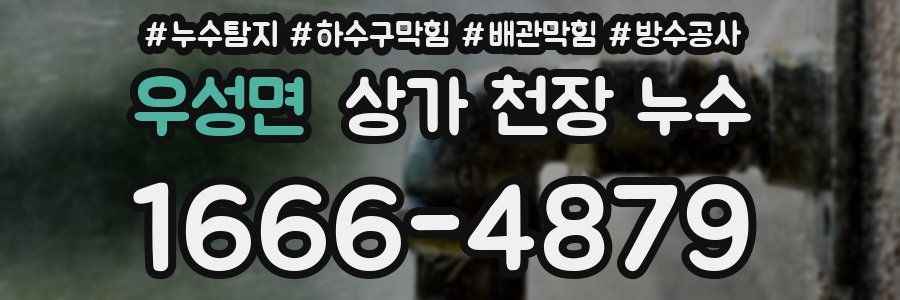 우성면 상가 천장 누수