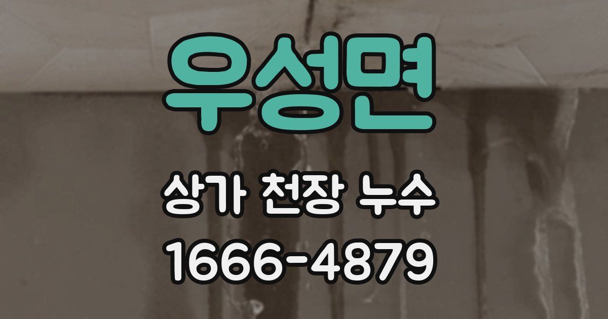 우성면 상가 천장 누수