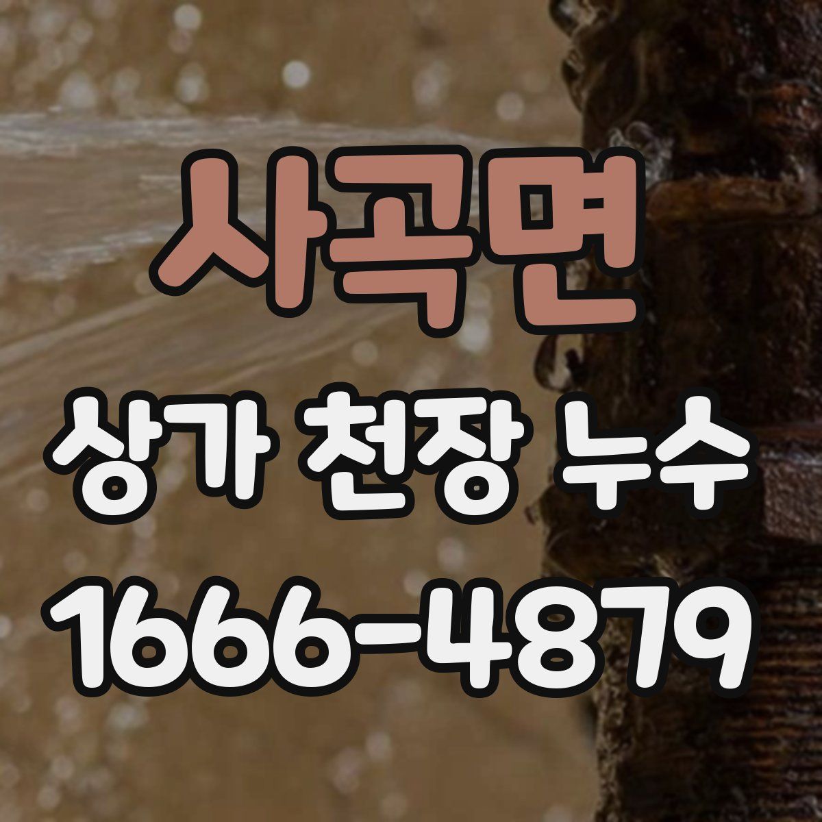 사곡면 상가 천장 누수