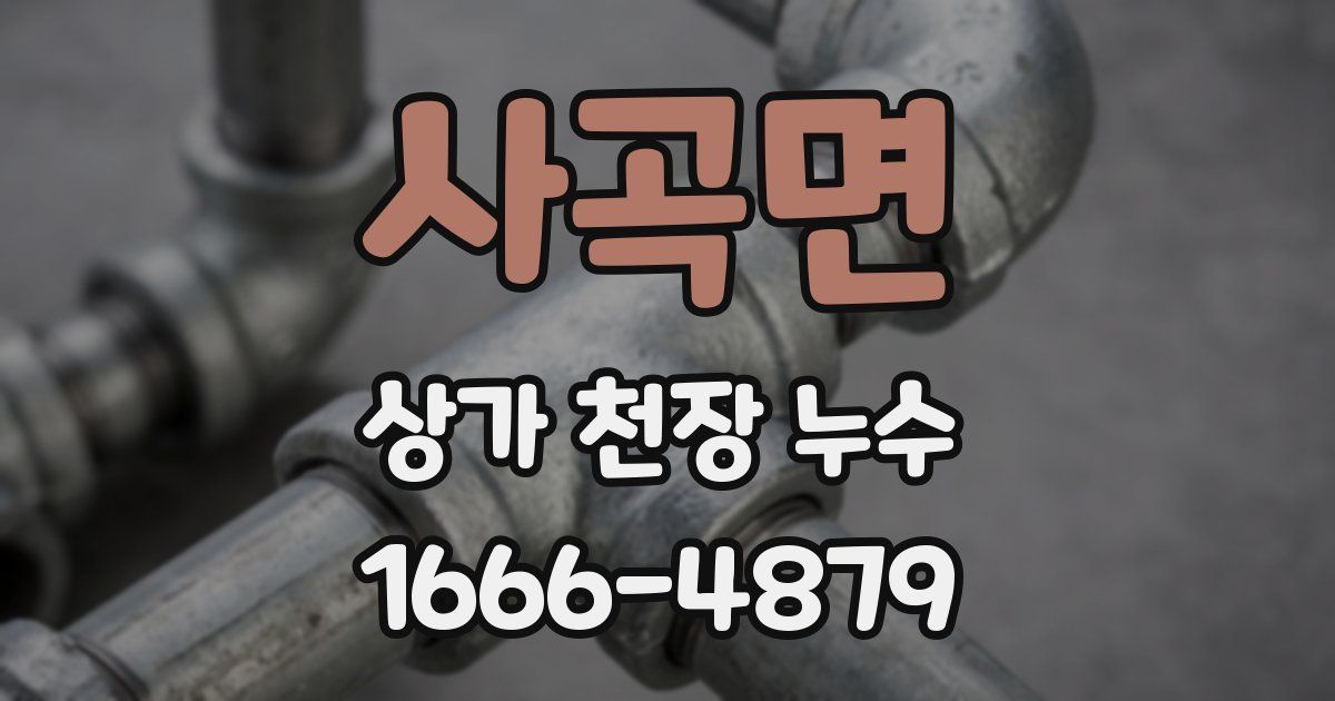 사곡면 상가 천장 누수