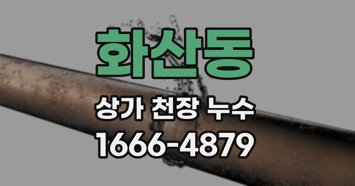 화산동 상가 천장 누수