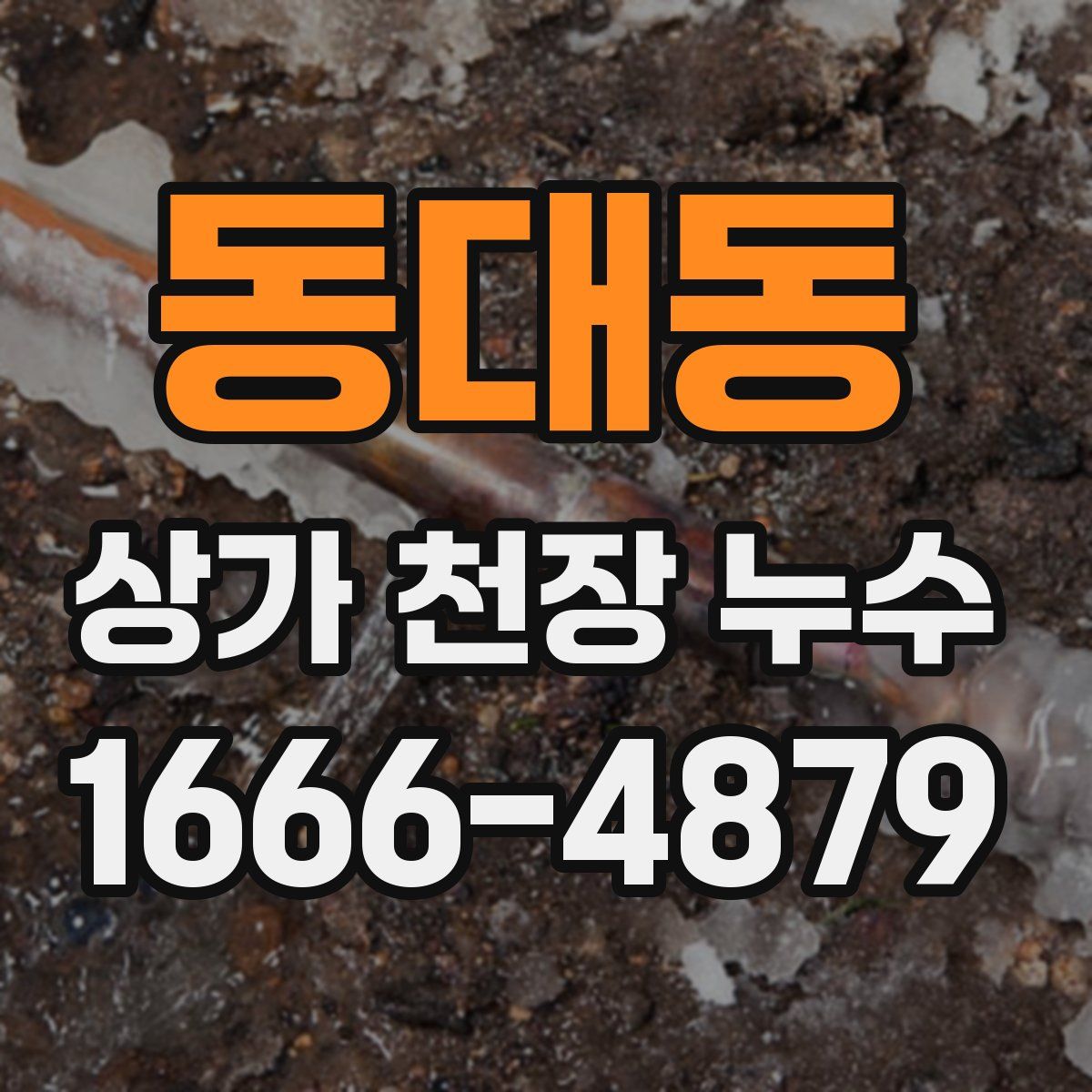 동대동 상가 천장 누수