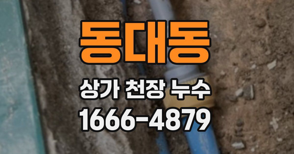 동대동 상가 천장 누수