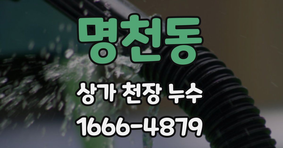 명천동 상가 천장 누수
