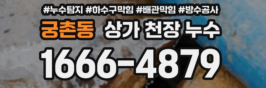궁촌동 상가 천장 누수