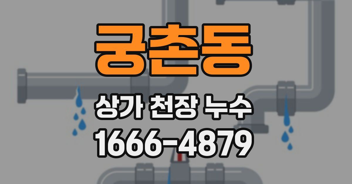 궁촌동 상가 천장 누수
