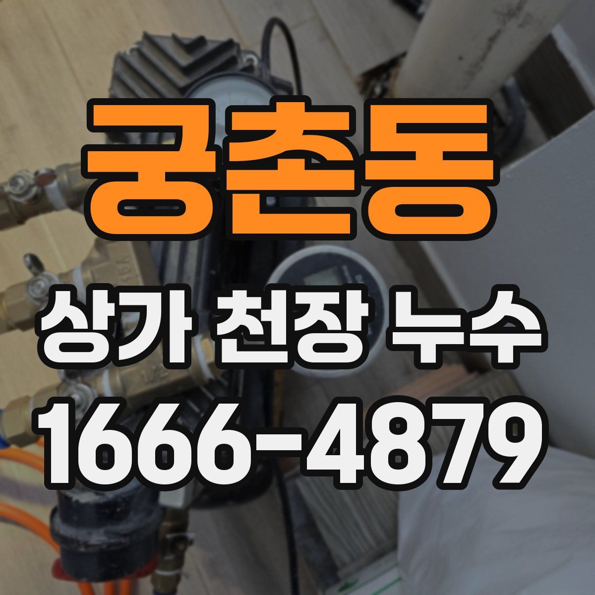 궁촌동 상가 천장 누수