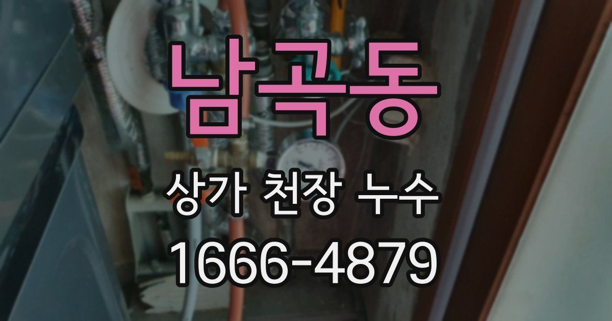 남곡동 상가 천장 누수