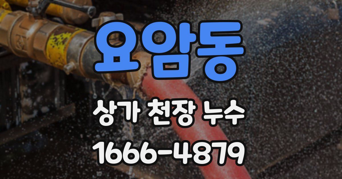 요암동 상가 천장 누수
