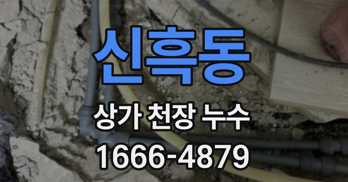 신흑동 상가 천장 누수