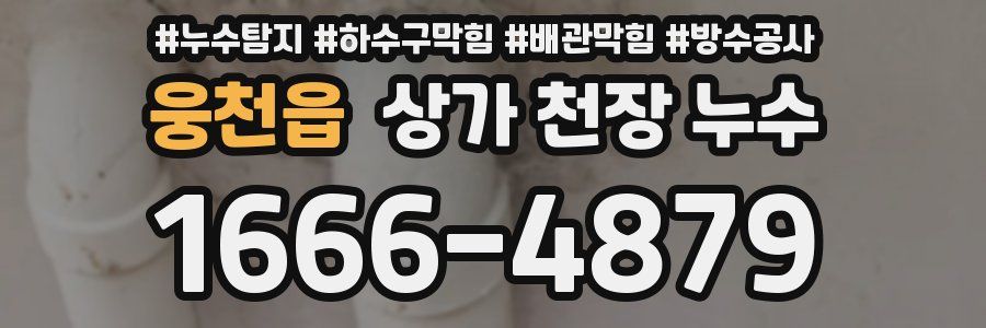 웅천읍 상가 천장 누수