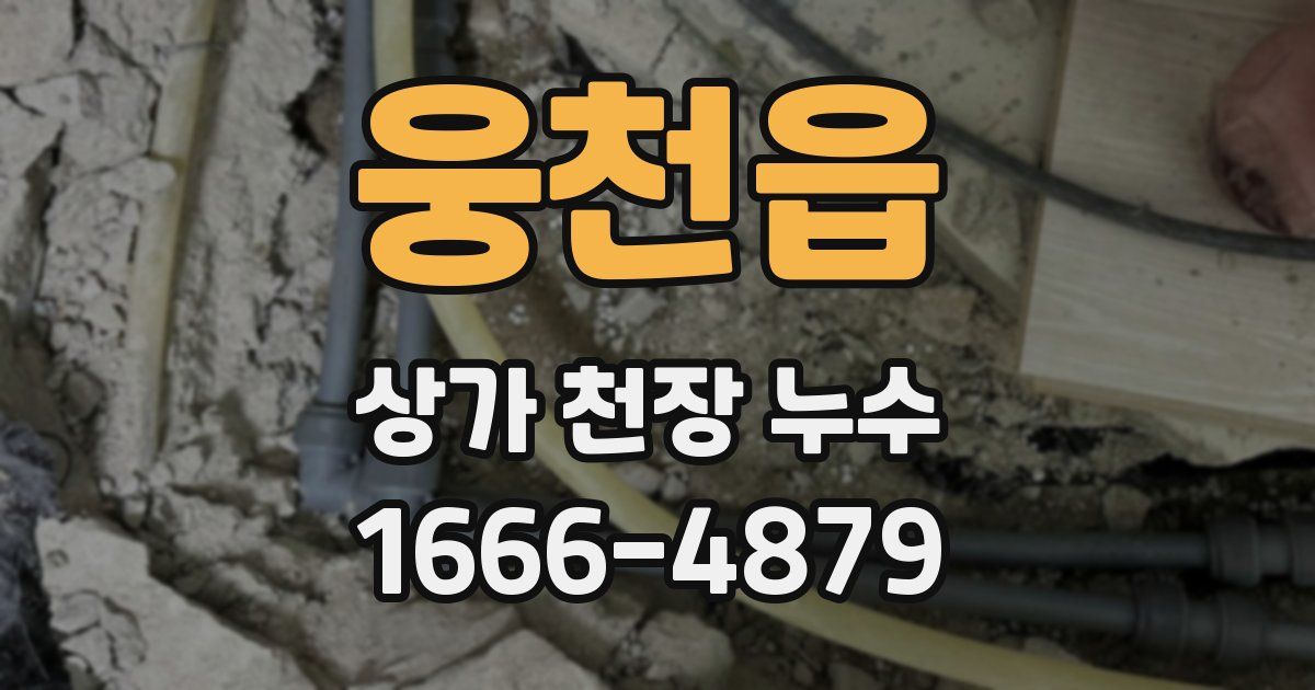 웅천읍 상가 천장 누수