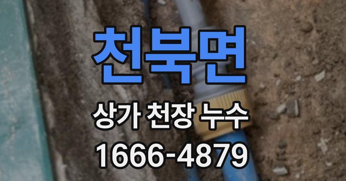 천북면 상가 천장 누수