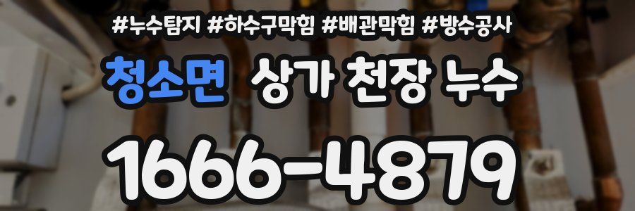 청소면 상가 천장 누수