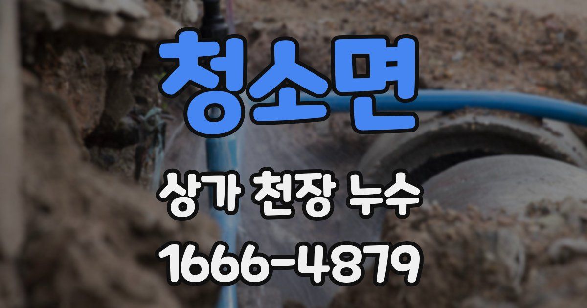 청소면 상가 천장 누수