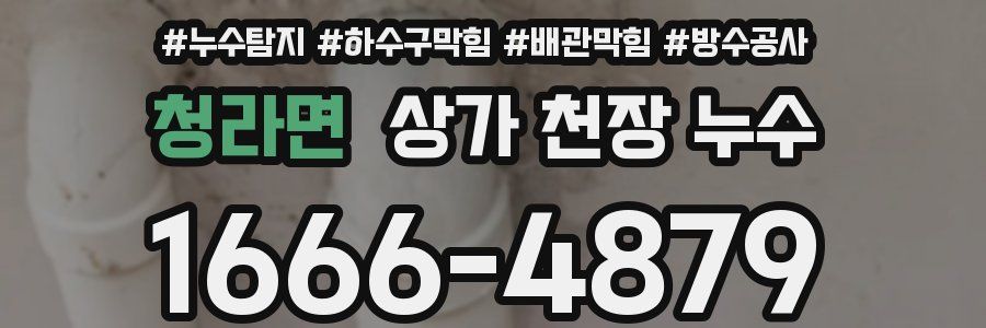 청라면 상가 천장 누수
