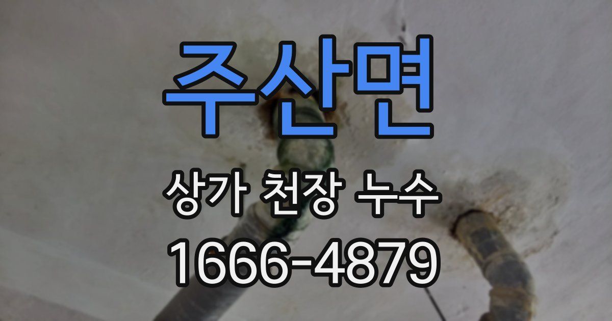 주산면 상가 천장 누수