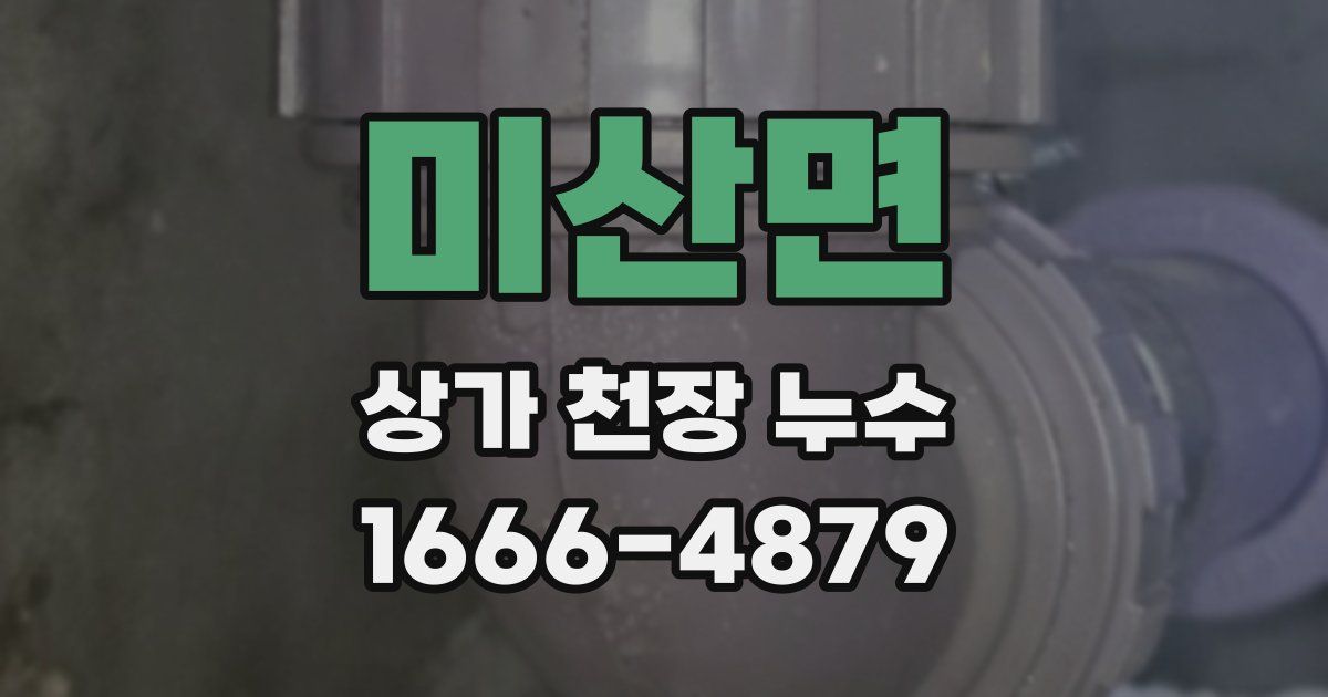 미산면 상가 천장 누수