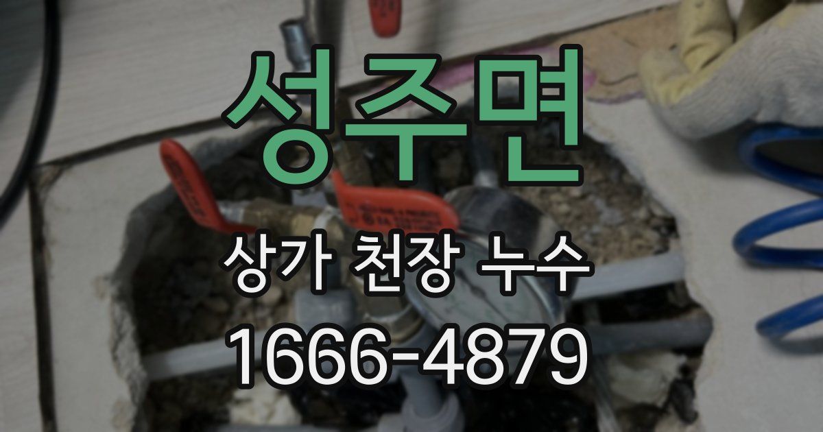 성주면 상가 천장 누수