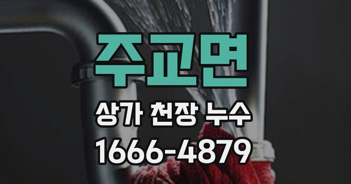 주교면 상가 천장 누수