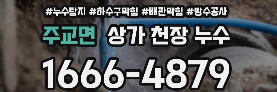 주교면 상가 천장 누수
