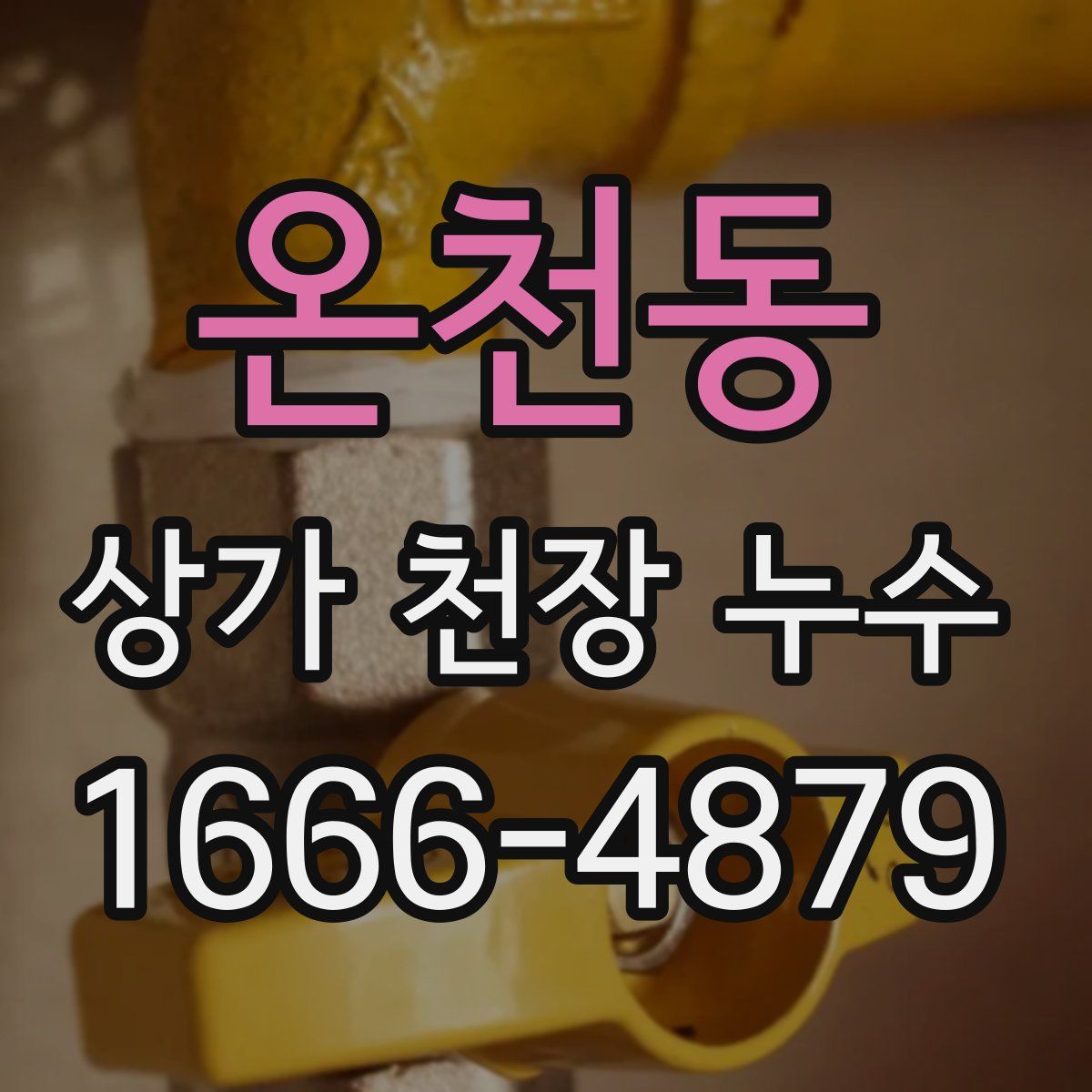 온천동 상가 천장 누수