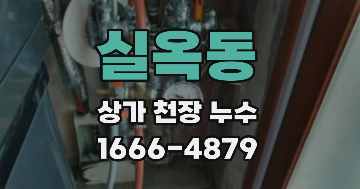 실옥동 상가 천장 누수