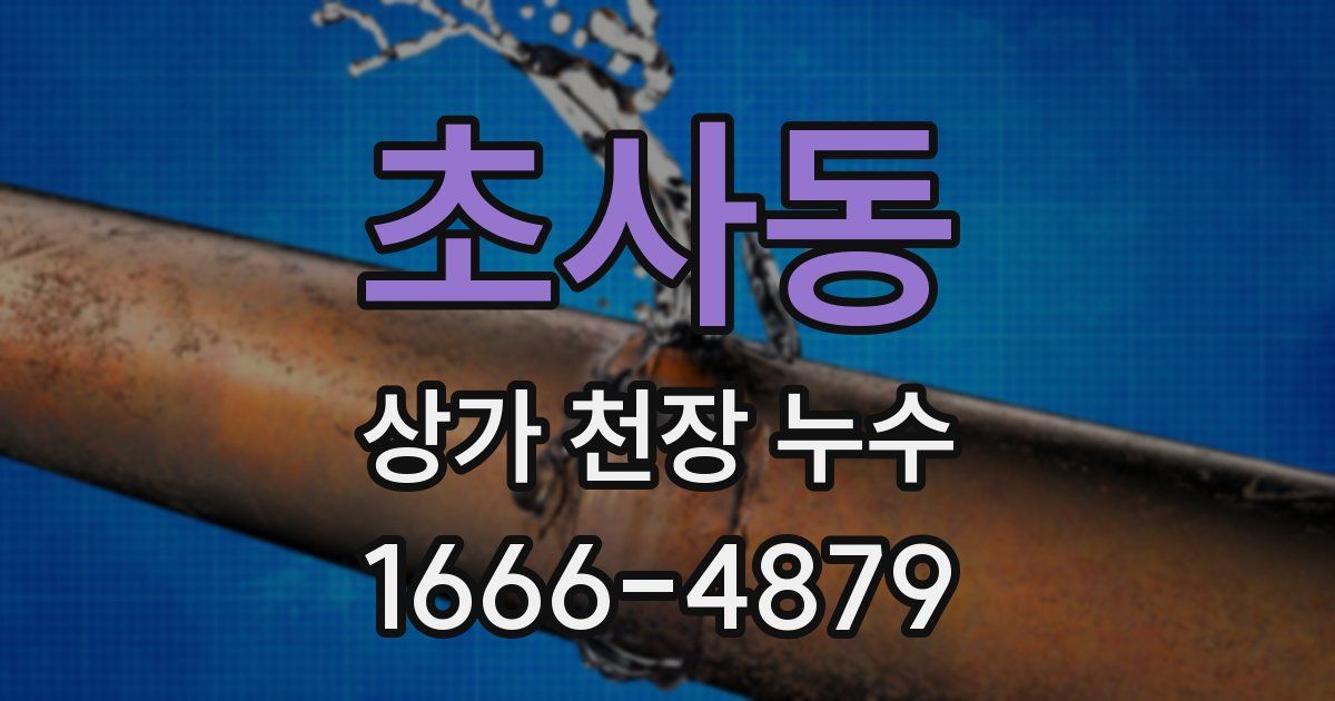 초사동 상가 천장 누수