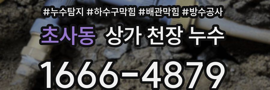 초사동 상가 천장 누수