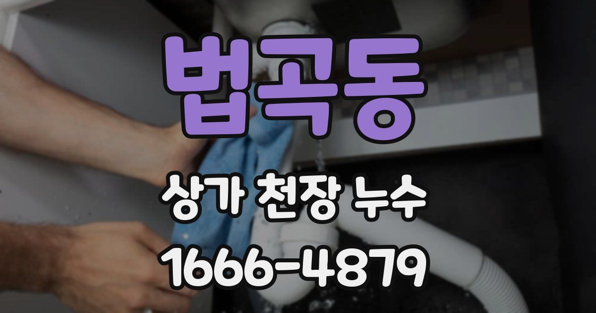 법곡동 상가 천장 누수