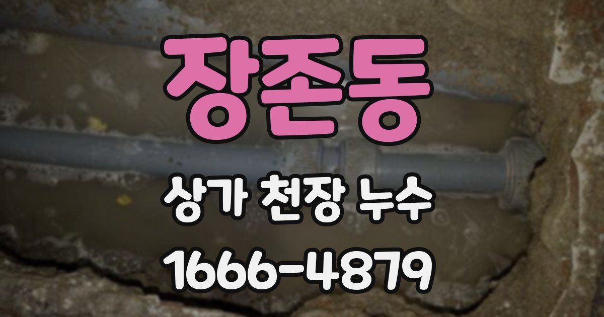 장존동 상가 천장 누수