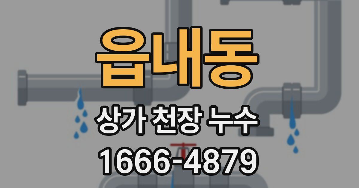 읍내동 상가 천장 누수