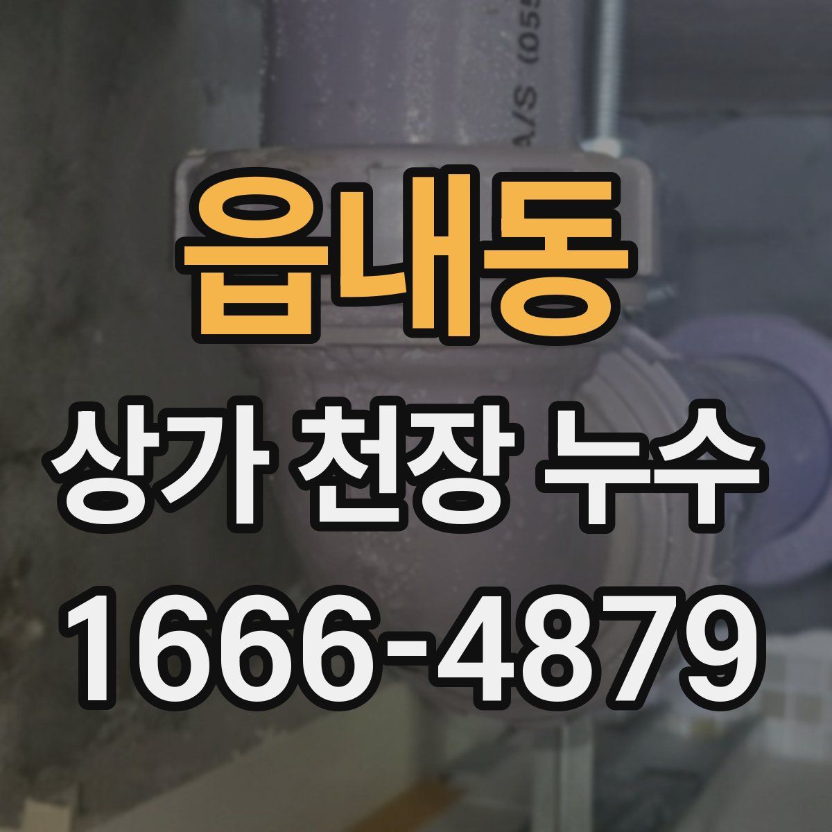 읍내동 상가 천장 누수