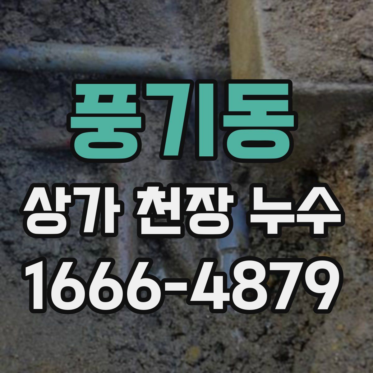 풍기동 상가 천장 누수