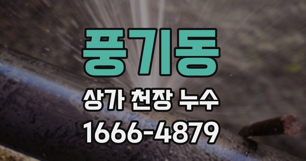 풍기동 상가 천장 누수