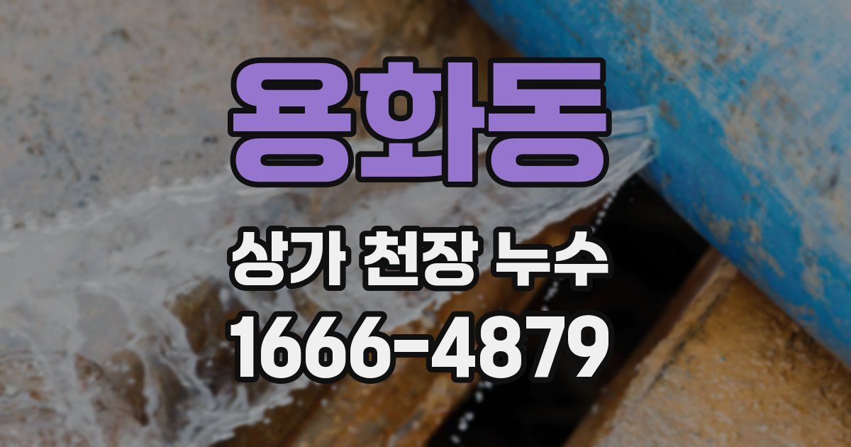 용화동 상가 천장 누수