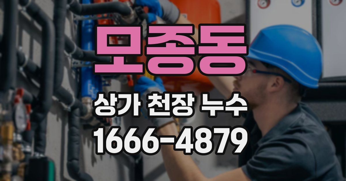 모종동 상가 천장 누수