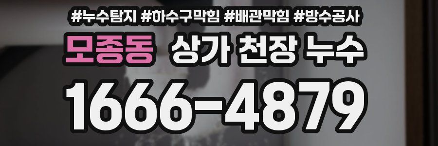 모종동 상가 천장 누수
