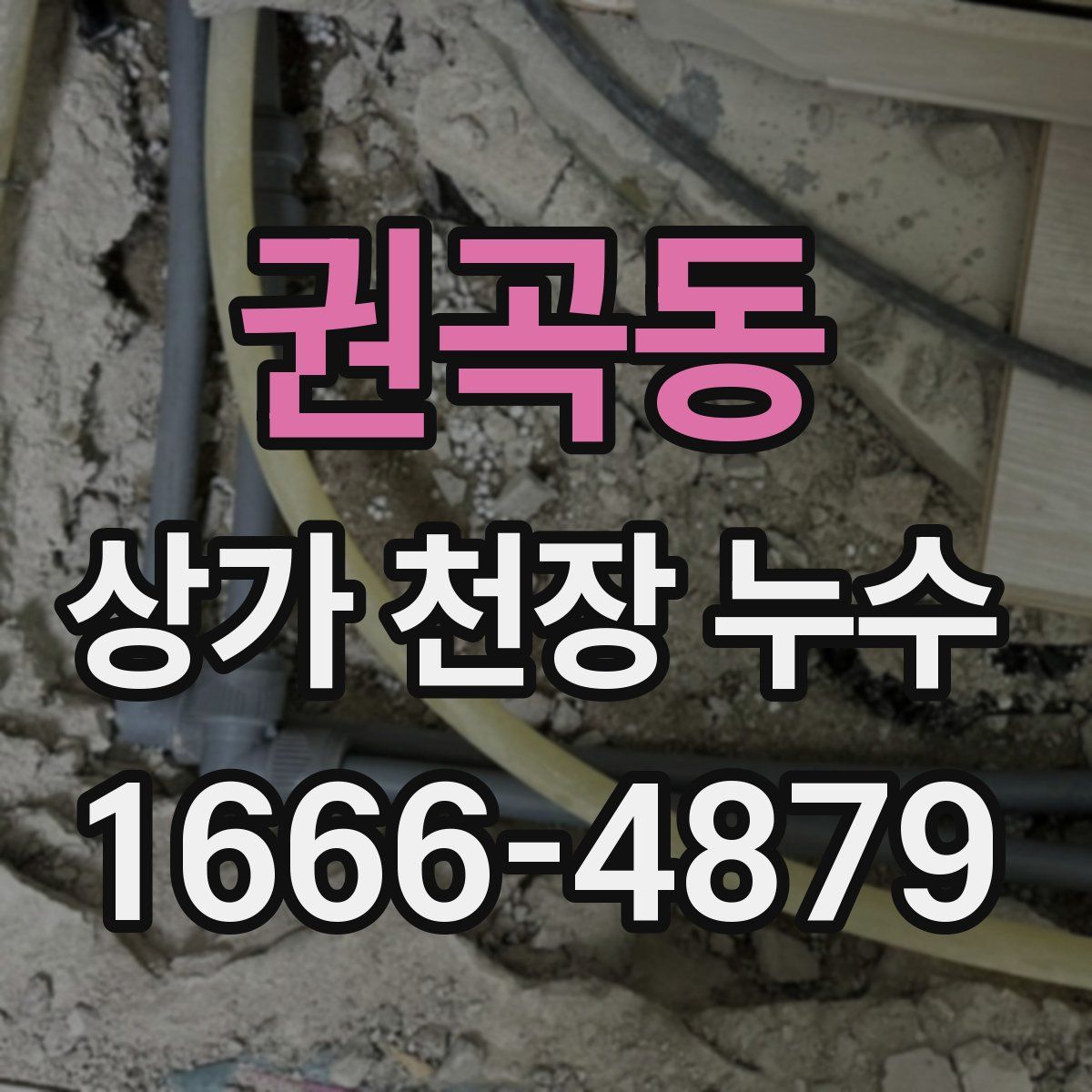 권곡동 상가 천장 누수