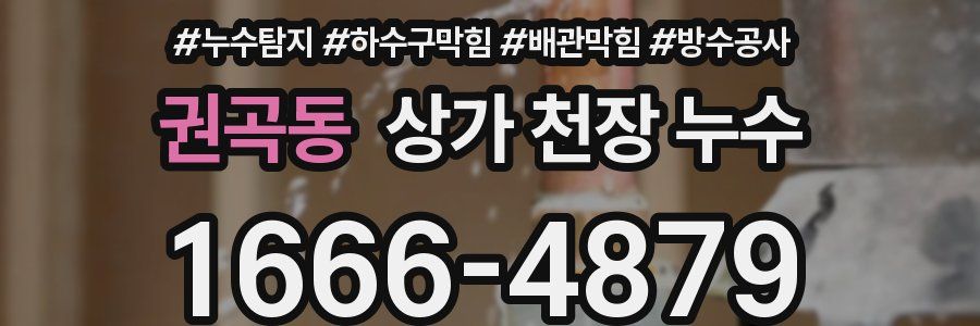 권곡동 상가 천장 누수