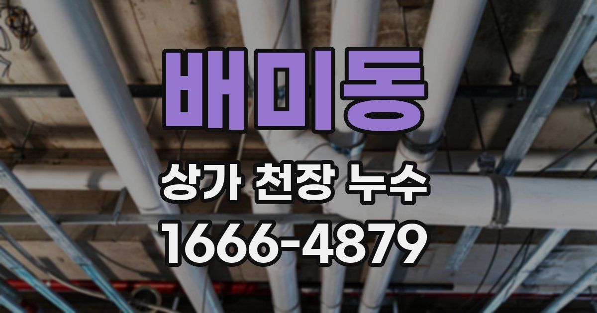 배미동 상가 천장 누수