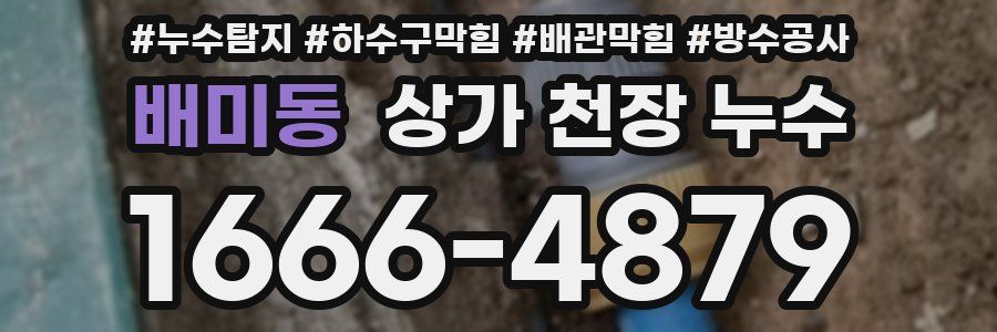 배미동 상가 천장 누수