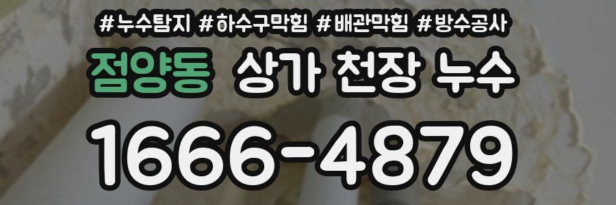 점양동 상가 천장 누수