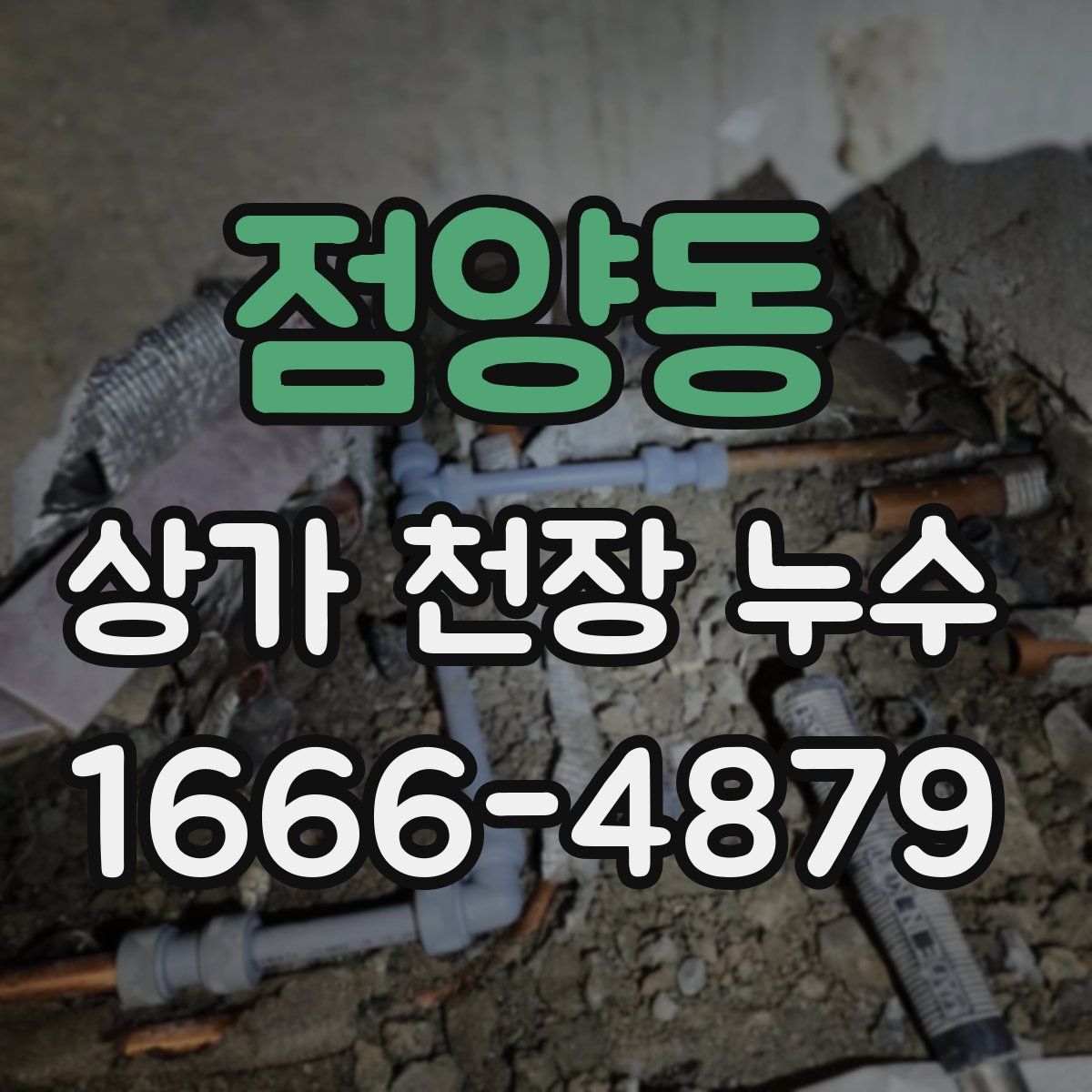 점양동 상가 천장 누수