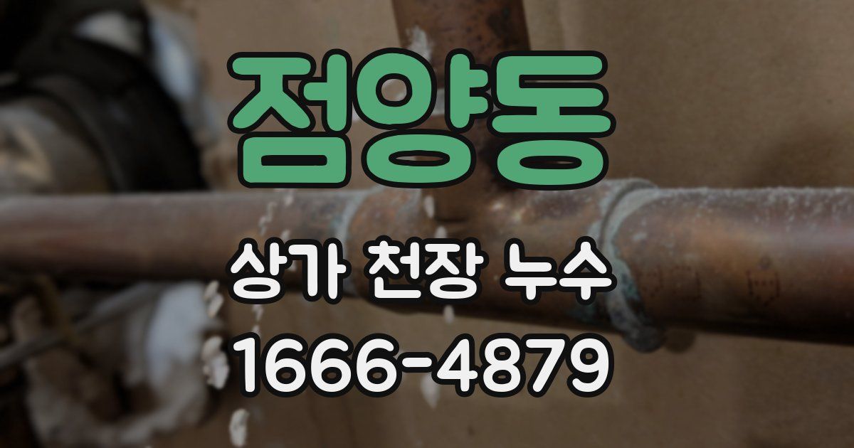 점양동 상가 천장 누수
