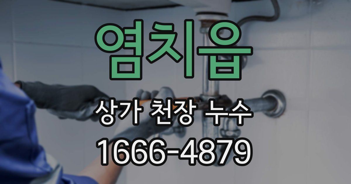 염치읍 상가 천장 누수