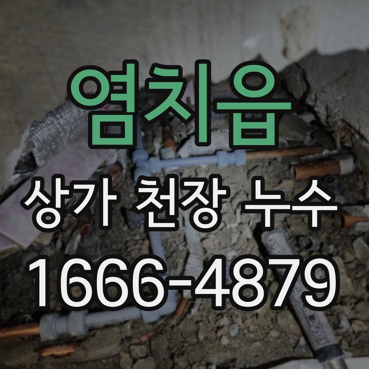 염치읍 상가 천장 누수