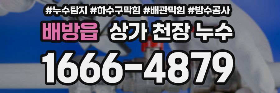 배방읍 상가 천장 누수
