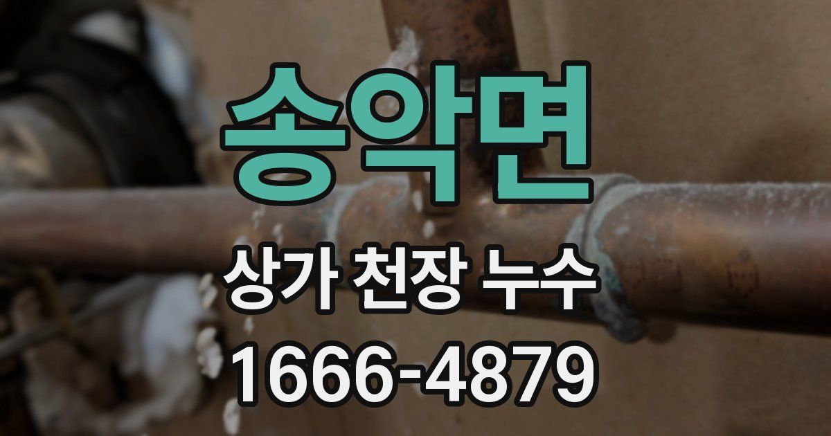 송악면 상가 천장 누수