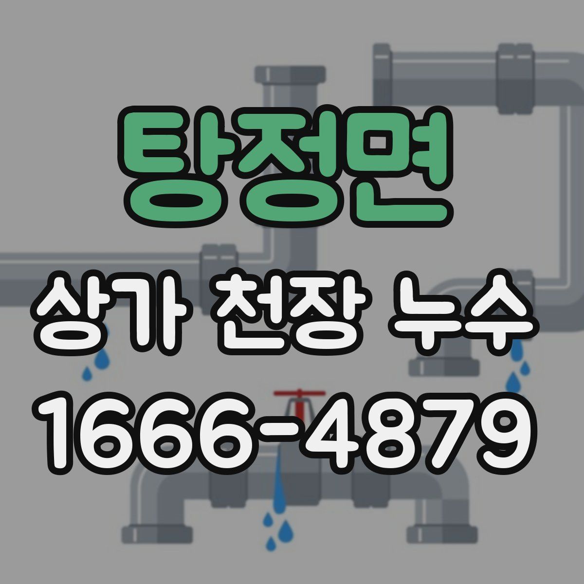 탕정면 상가 천장 누수